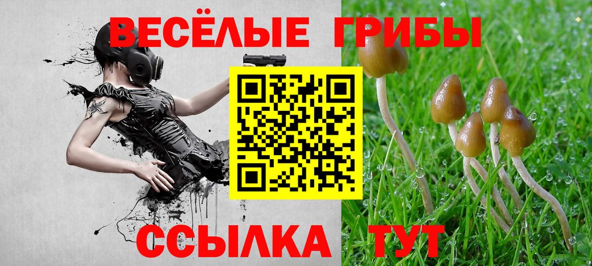 Галлюциногенные грибы Magic Shrooms  Галлюциногенные грибы мицелий  дарнет шоп  Шахты  Вход с VPN 