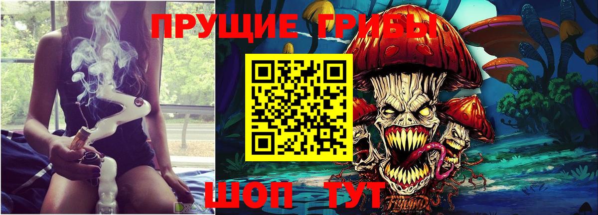 Псилоцибиновые грибы мухоморы Шахты
